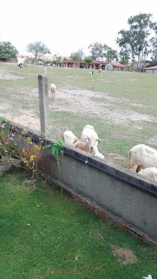Chale Em Gravata Villa Eksteriør bilde